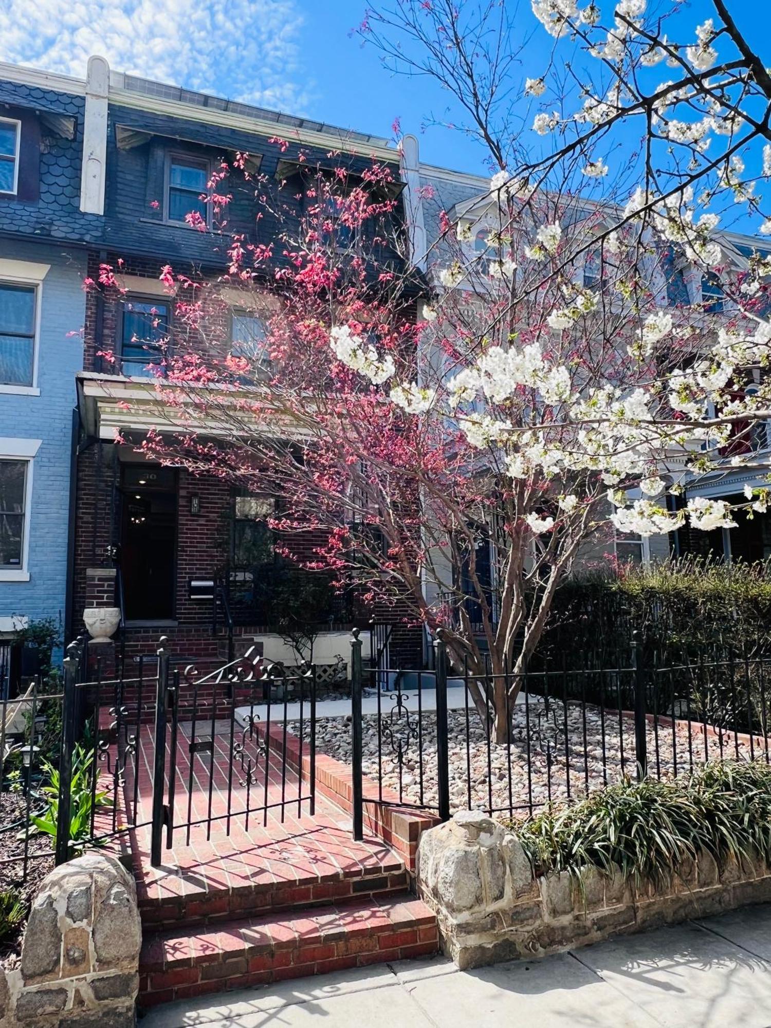 Amma'S Place Washington Luaran gambar